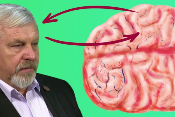 Профессор Жданов: «Человек, который выпил, на следующее утро мочится собственным мозгом».