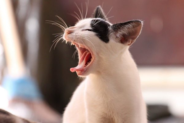 Что объединяет бабулек на скамейке и Интернет