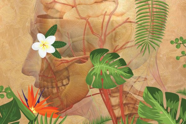 Отказ от сахара восстанавливает печень и воскрешает мозг