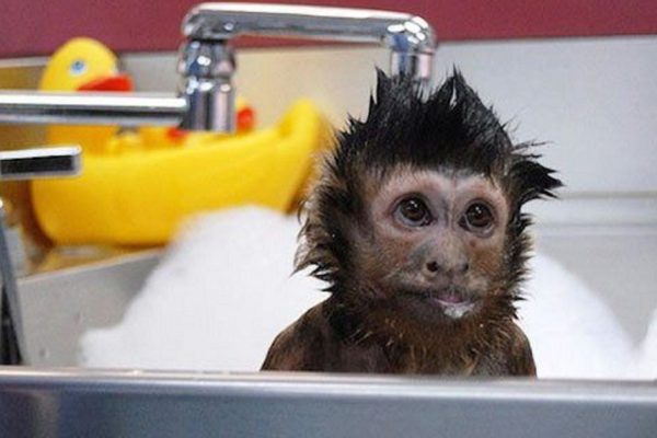 Вот почему нельзя принимать душ слишком часто! Опасность для здоровья…