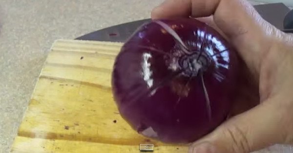 Она разрезала луковицу и полила ее маслом с уксусом. Результат — вкуснейшая водная лилия!