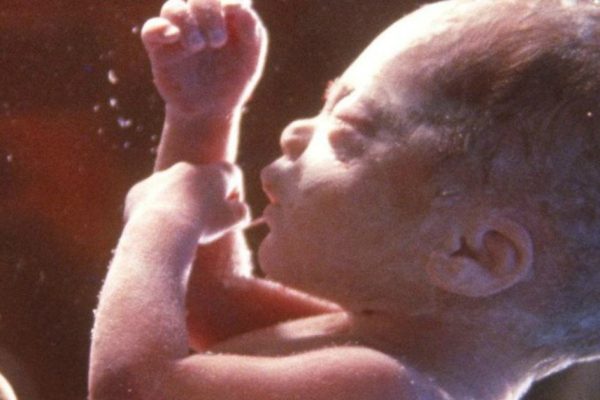 Вот чему ребенок может научиться еще до рождения! Жаль, что не знала этого раньше.