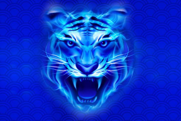 Одинокие Свиньи встретят любовь всей жизни в новом 2022 году