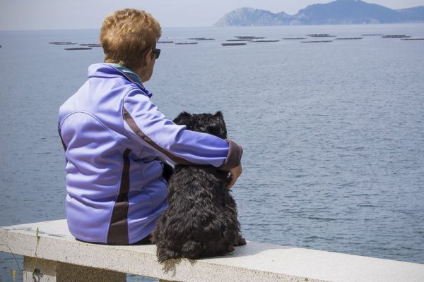 Пожилая женщина каждый день приходила на пляж, вглядываясь в проплывающие корабли, решила узнать ее историю