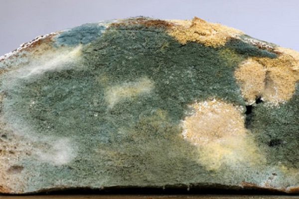 Какую опасность несет обычный хлеб? Употребление хлеба чревато…