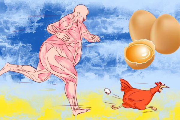 Вот что происходит с твоим организмом, если ты не ешь яйца постоянно! Всего лишь 1 куриное яйцо в день…