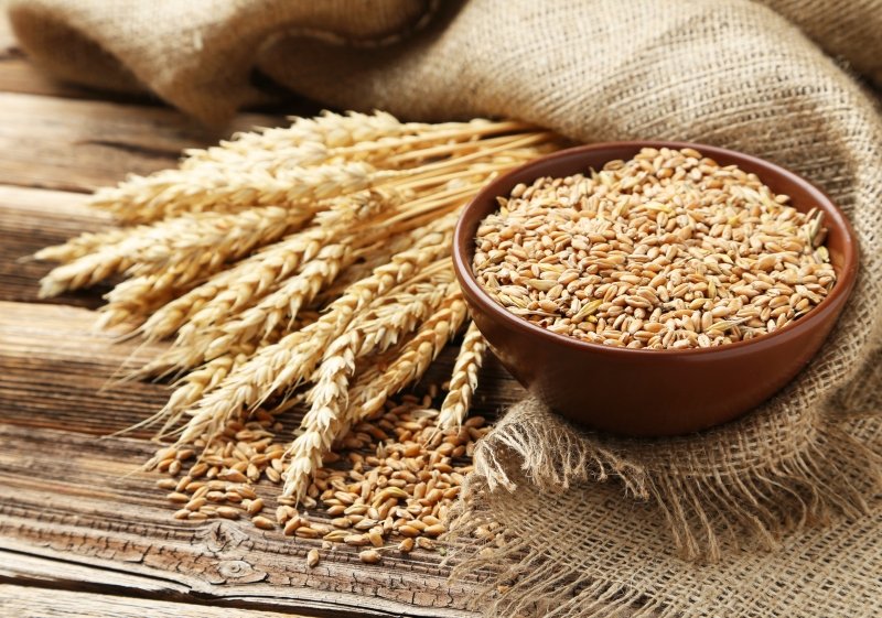 вред от пшеницы