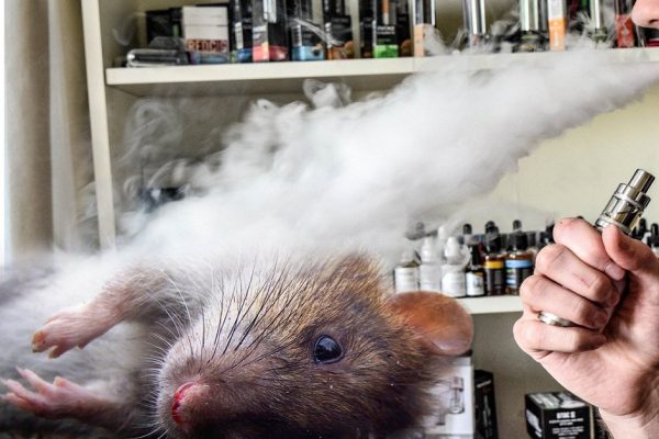 Вейп — губительная мода в среде молодежи! Твои дети тоже могут делать это!