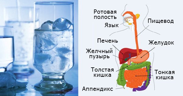 Вот почему болит живот: 3 нездоровые пищевые привычки, которые нужно искоренить.