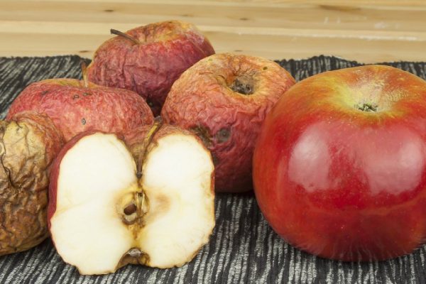 Что вызывает преждевременное старение