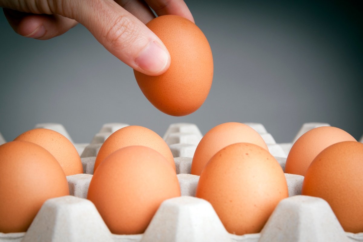 как правильно варить яйца