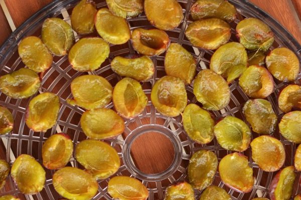 Инструкция по приготовлению вяленых слив