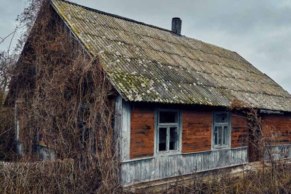 Дети получили грустную весть о том, что мамы больше нет, но грустить не стали, помчались делить наследство, их ждал сюрприз