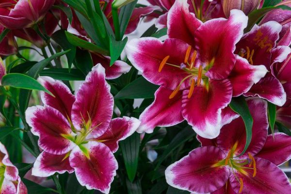 SSUCv3H4sIAAAAAAAACpySyW7DIBCG75X6DhbnWvKGl75K1MNgsI2CwQLcKory7gW8hLa33phvFv5Z7q8vSYIIGN6j9+TuLWdzIVZjNViupMPZ2841k5TpmDDKrdIcRAwJ2H6SMDMH5SqEx4/gRMaCXQ0z0WeEj8aq/rpMyirH86PM4GzBIUZmWq1lOsTHHKgi7A9dlKQ4BlQzmI3lQdlJ86LUgweRzh4sG11jP5XuY7psdnI4gtNlOBdCe9VN7koCO9BW/F+Z2+PjbHhksr95bY9ItWaCwTbdyxaKrl9uXnPoYg+ClXIVdfWpehA+oIwqLZr3XI5RmrJTWP2R1qtVWn2LlSOh1AJE+OkOriY7+ATGuHB68HjQ7tDUHP0jlQ0N7FURdZvwZl4WRYZx1lRlVeGmwN0esJ3UxF2dIOcQuC5CAWX+03Paz5PATZ3VTVd259R/XYcPaDJct8+A81CCr8rLbHPFKwhHyGk8cO4luD4waZuBpBg3Q1oVLUm7rIO0yGrW4aFhLSFu3Y9vAAAA//8DAF0dPmCSAwAA