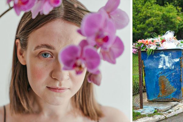 Можно ли принимать в дар орхидеи