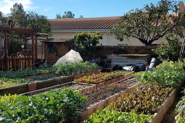 Образец идеального земельного участка