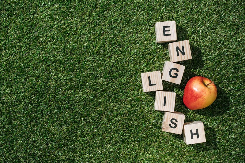 Какие английские фразы необходимо заучить Советы,Английский,Идеи,Наука,Саморазвитие,Счастье,Языки