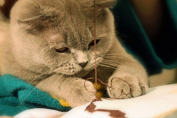 Пасхальное полотенце: каким должно быть и что на нём изображать. Жаль, мало кто соблюдает сейчас традиции…