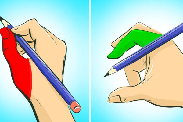 Верные признаки высокого интеллекта и сообразительности