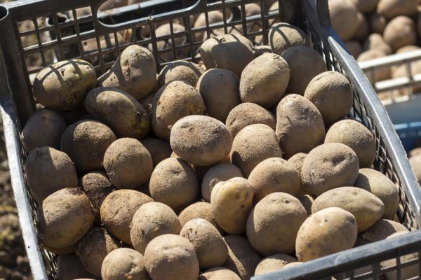 Свекровь дает сестре мужа большие деньги, а нам помогает всего лишь продуктами