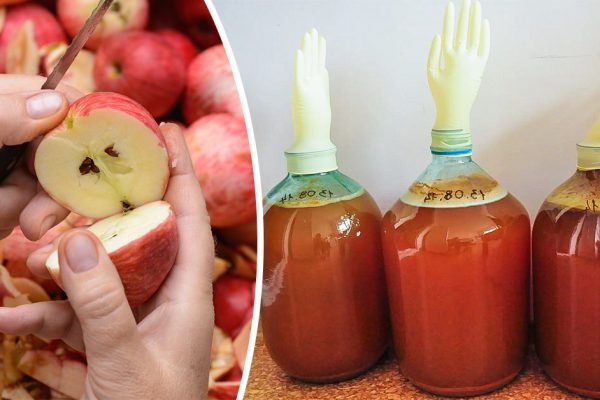 Запрещаю домашним выбрасывать яблочную кожуру, шкурки собираю, покажу, что делаю из них