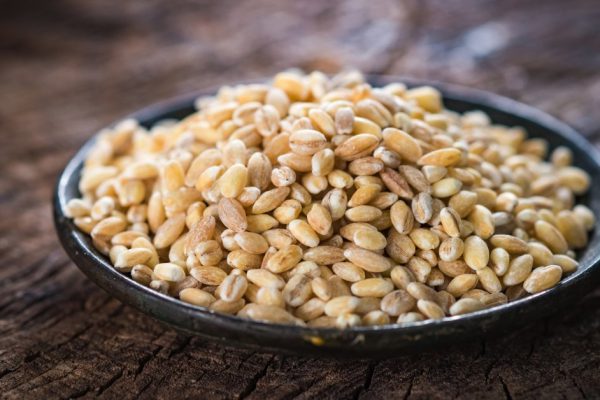 Dry pearl barley on rustic background
