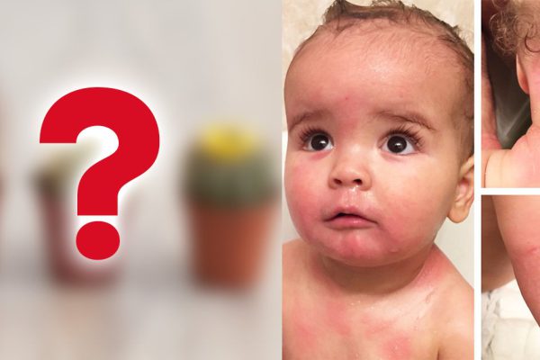 «Мой 5-летний сын погиб, потому что у нас было это растение!» «Цветок» убивает ребенка за 1 минуту, взрослого — за 15.