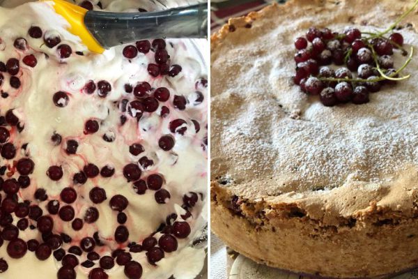 Свекровь притащила ведро красной смородины, пеку изысканные пироги всю неделю