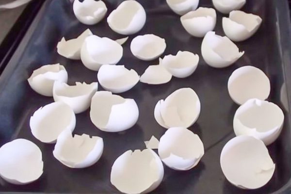 Она запекает скорлупу яиц в духовке, вместо того чтобы выбрасывать ее! Причина захватывающая…