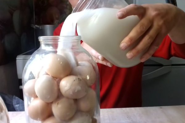 Для чего умудренные опытом хозяйки закатывают яйца в банки