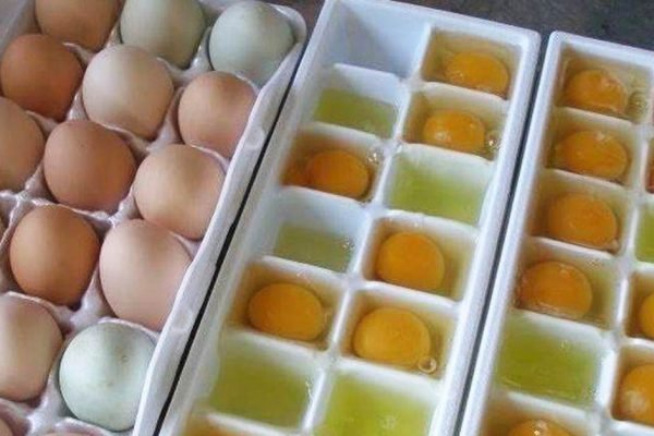 Пришла в гости к свекрови, а она замораживает яйца, я удивилась, но она всё мне объяснила