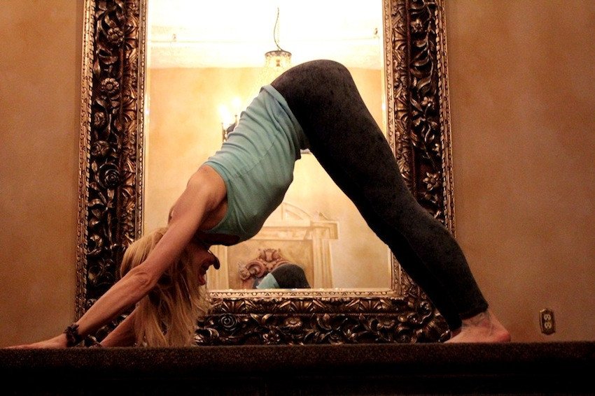 собака мордой вниз