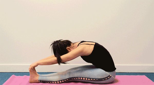 складка к ногам сидя