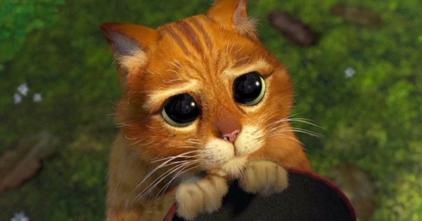 14 жизненных ситуаций, в которых ты ни в коем случае не должен извиняться!