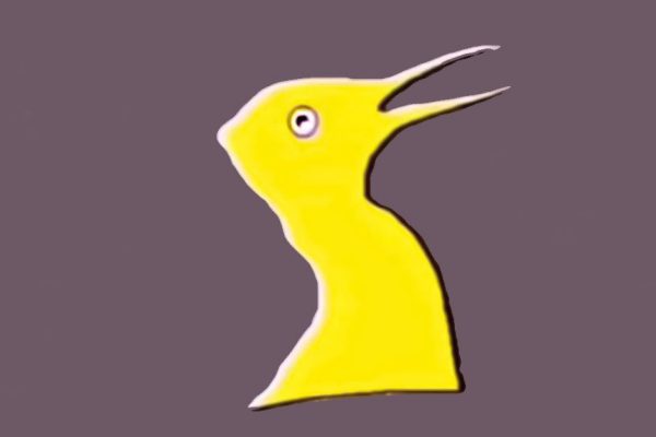 Визуальный тест, который поможет определить, какое полушарие мозга доминирует у тебя