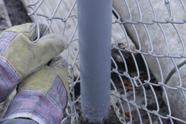 Сосед уперся и не согласился, чтобы мы поставили глухой забор, но я нашел элегантное решение