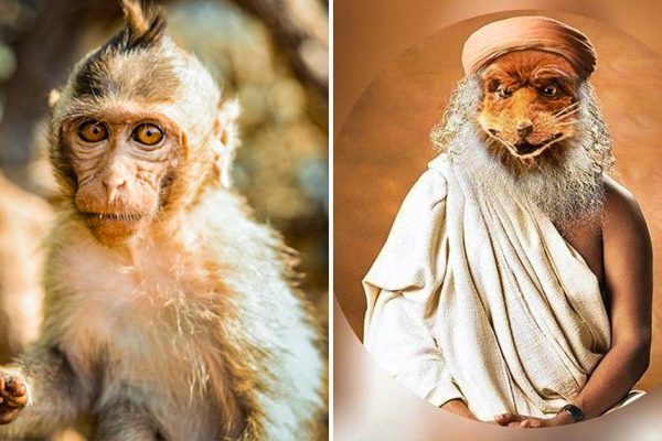 Душеполезная притча для тех, кто слишком много делает для других, забывая о себе