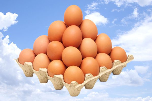 Попробуй сосчитать, сколько яиц сложено в этот лоток, простая математика и немного воображения