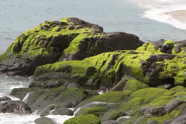 Лишь избранные тратят меньше 5 секунд, чтобы найти отдыхающих женщин среди камней