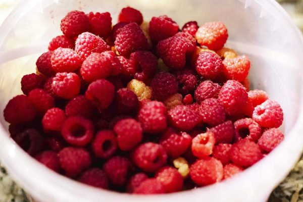 Как сохранить малину свежей до следующего урожая