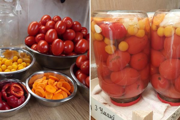 Консервирую помидоры с алычой уже второй год, уксус добавлять перестала