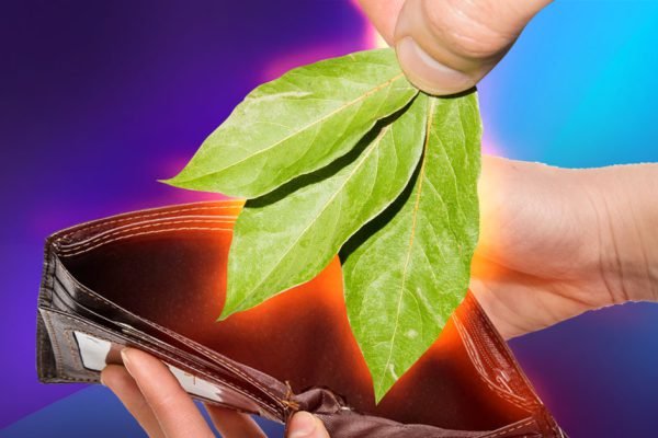 Напиши эту цифру на лавровом листе, положи в кошелек и посмотри, что вскоре произойдет