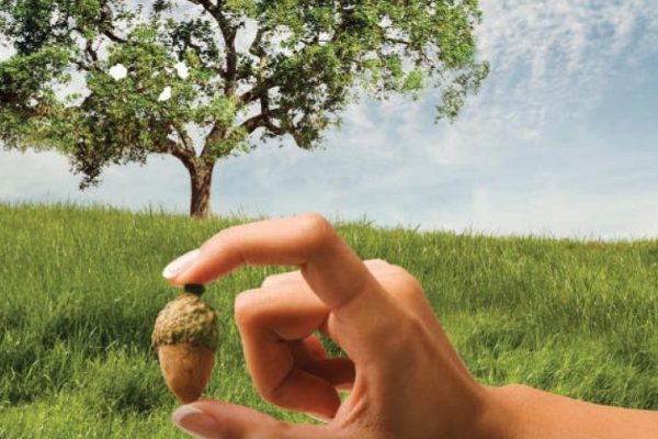 Как изменить свою жизнь в лучшую сторону: 12 законов кармы, о которых мало кто знает.