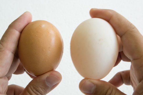 Как приготовить праздничную закуску из яиц