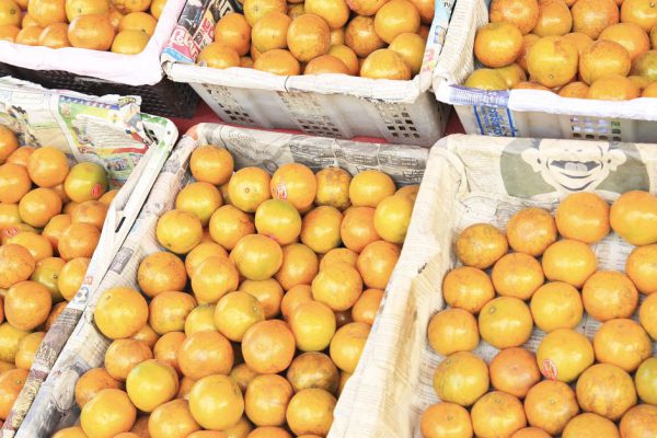 Турецкие продавцы наперебой советуют, как найти самые сладкие мандарины без косточек