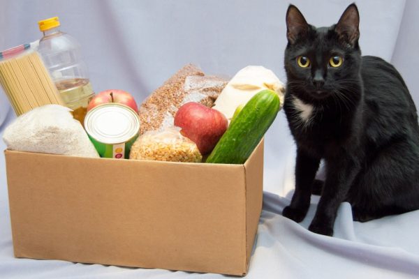 Базовый набор продуктов, спасающий жизнь