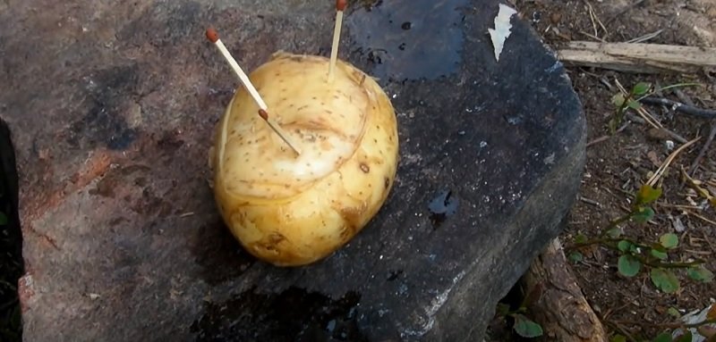 запеченное яйцо в картошке