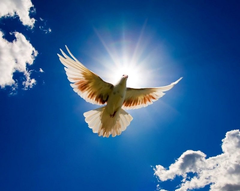 заповеди блаженства новый завет