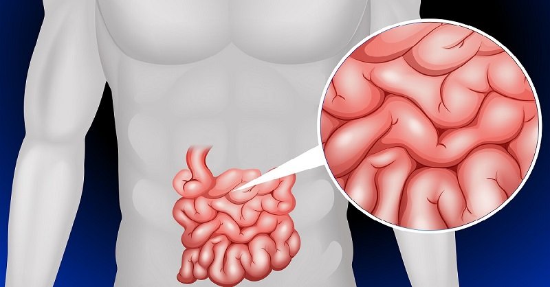 как улучшить работу кишечника