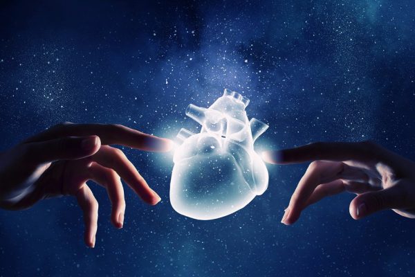 Close up of human hands touching with fingers heart organ